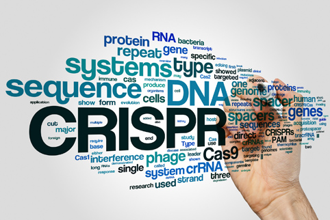 „Angst essen Fortschritt auf“ – EuGH-Urteil zu Genome Editing